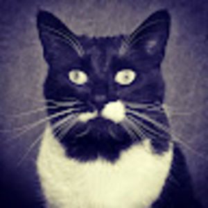 Meet your Posher, Lindsay